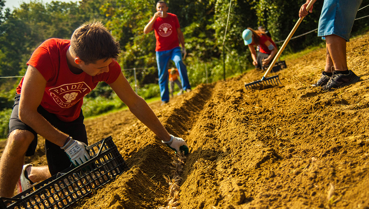 persone arano e seminano un campo