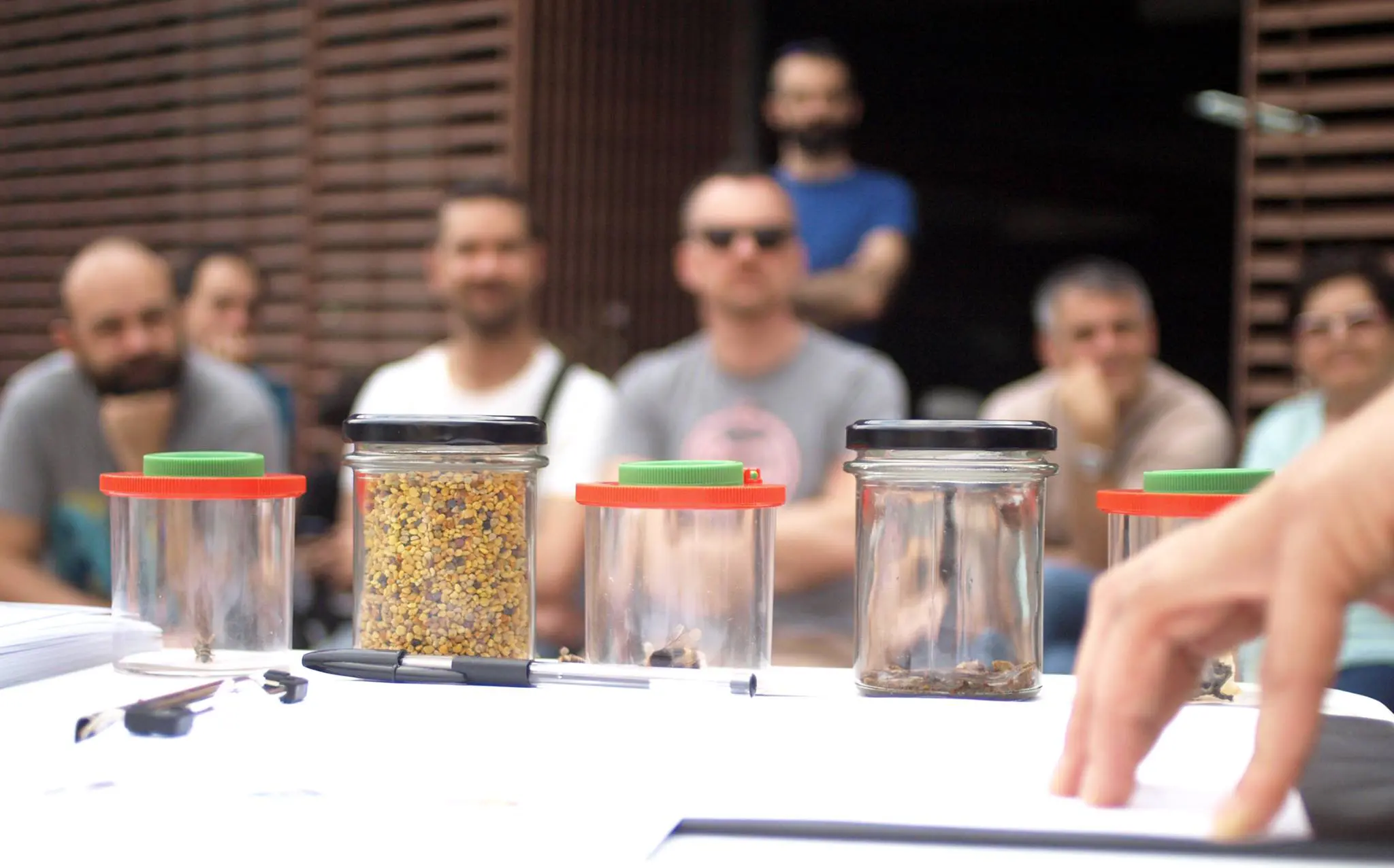 vasetti contenenti semi diversi in primo piano, persone che li osservano sullo sfondo