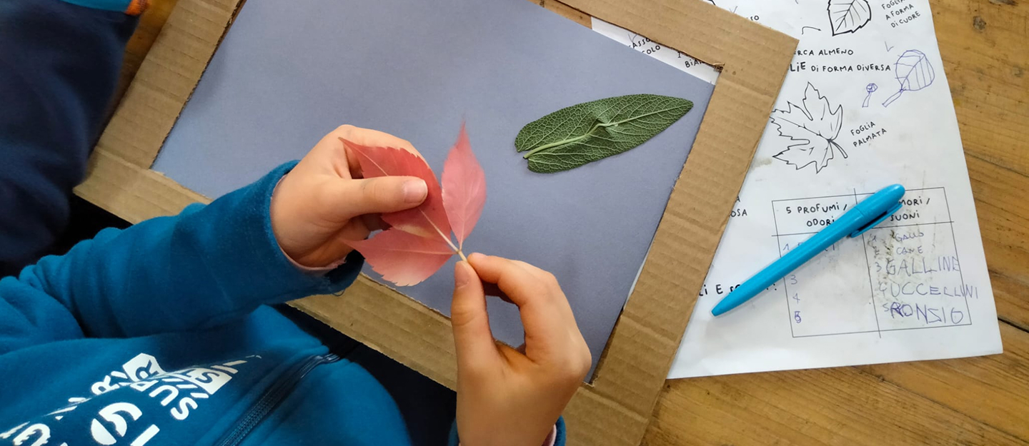 le mani di un bambino tengono in mano una foglia rossa. sul tavolo su cui lavora c'è un foglio con la descrizione delle foglie e una cornice di cartone